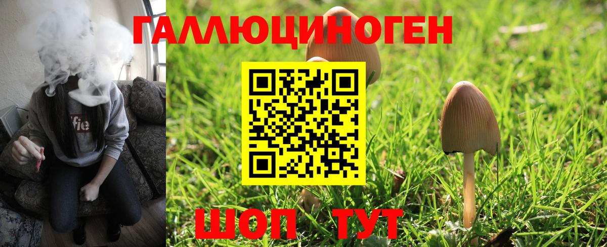 Кемерово  Галлюциногенные грибы MAGIC MUSHROOMS  Вход с VPN 