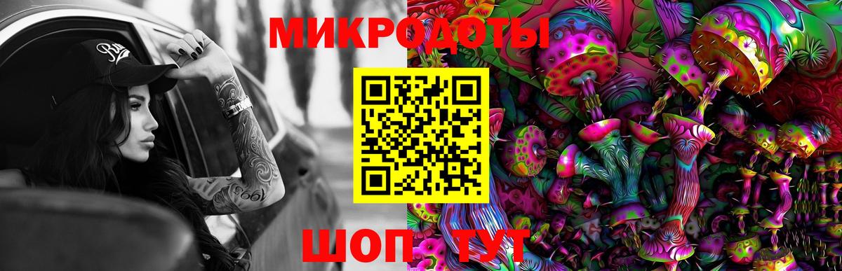 Псилоцибиновые грибы GOLDEN TEACHER Кемерово
